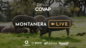 Montanera Live | Ibéricos COVAP