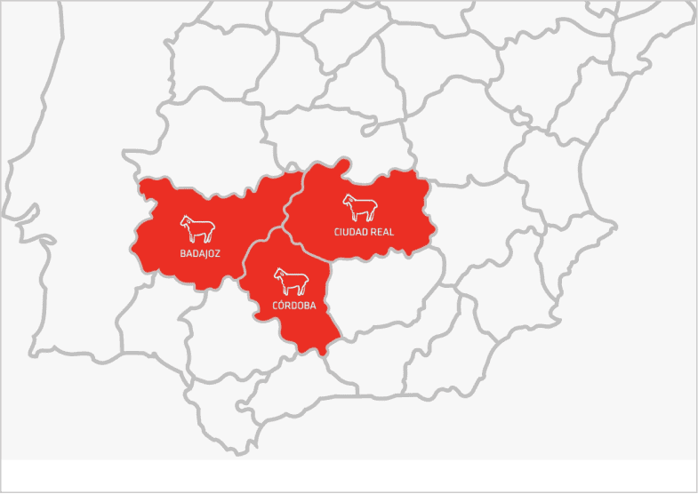 Mapa político de España