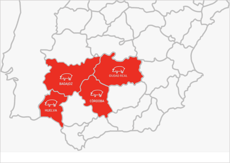 Mapa político de España