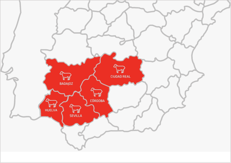 Mapa político de la empresa