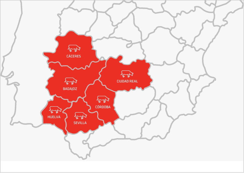 Mapa político de España