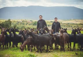 Ganaderos con sus cabras.