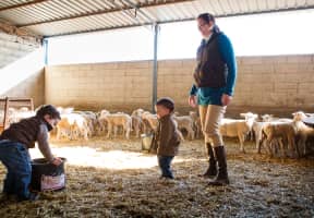 Dos niños en la granja con las ovejas