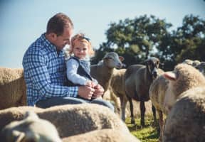 Ganadero con su hija rodeado de corderos y ovejas