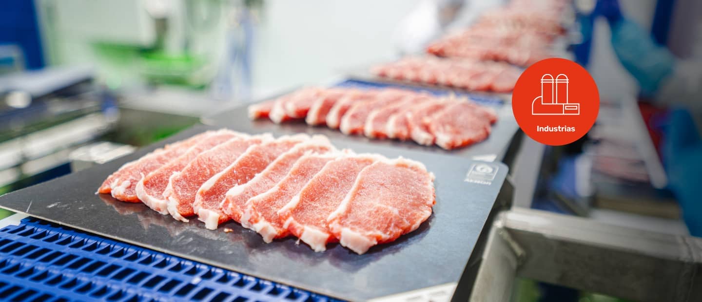 Filetes de lomo